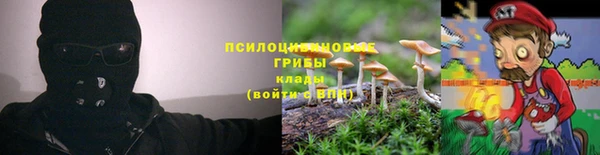 соль ск Балабаново