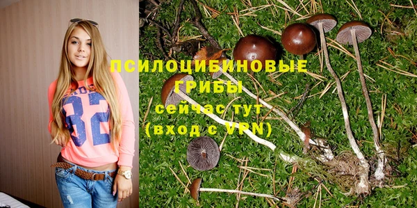 соль ск Балабаново