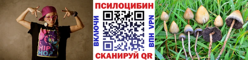 Галлюциногенные грибы Psilocybine cubensis  Верхняя Салда 